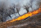 هشدار متولی ارشد کشاورزی استان نسبت به وقوع آتش‌سوزی در جنگل‌ها و مراتع